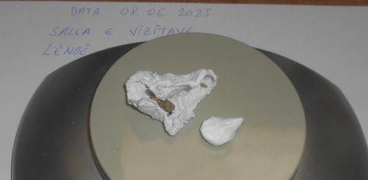 Korektivna služba Kosova Droga
