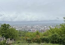 Sedam dana, dva rešenja za Dušana i Jovana Portića i 13 godina privremenih organa