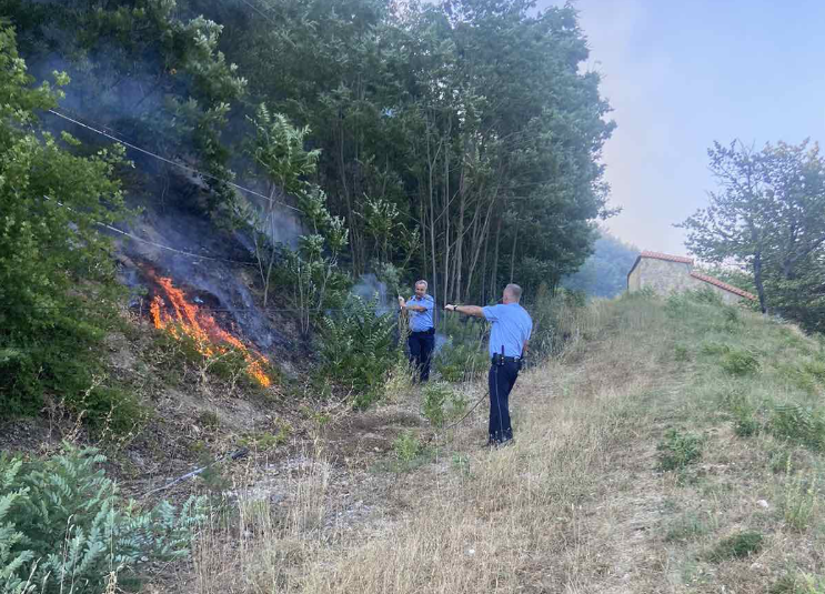 Veliki požar kod Manastira Devič lokalizovan uz pomoć više jedinica