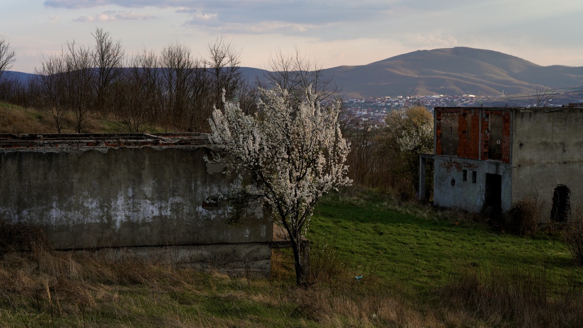 Akvarijusov „Podeljeni grad“ na Dokufestu u Prizrenu
