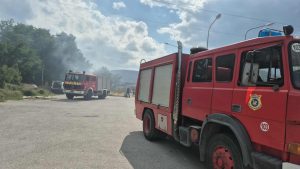 Hapšenje u Peći zbog podmetanja požara