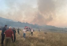 MUP: Požar na Suvoj planini se proširio u tri pravca Požar Kosovo