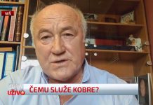 „Ići ću na crtu, kao i u Hagu“: General Stojanović o pozivima kosovskog tužilaštva srpskim vojnim veteranima, ali i ćutanju srpskih institucija Momir Stojanović
