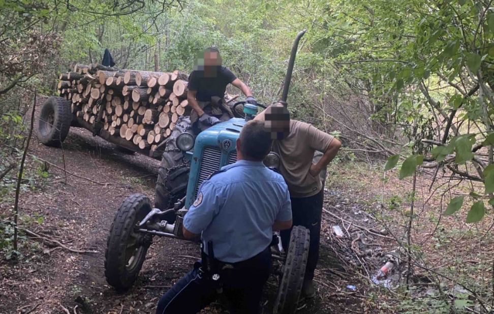 Dve osobe uhapšene zbog krađe šume u Zvečanu