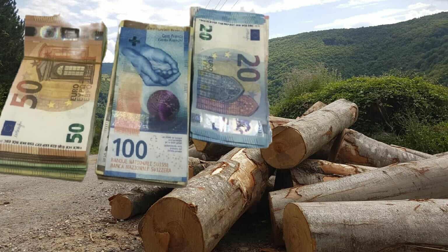 Kosovska policija zaplenila skoro 14.000 i kubike drva na Severu i u Podujevu