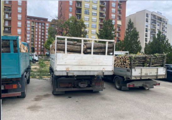 FOTO: Kosovska policija/drvo