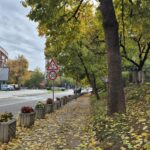 RSE: Neizvesna saradnja lokalnih vlasti na Severu Kosova s centralnim institucijama