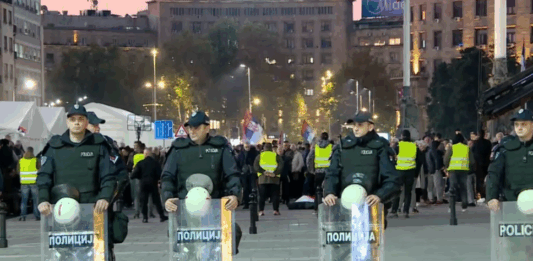 Dijana Hrka protesti ćaci ćacilend policija pionirski park