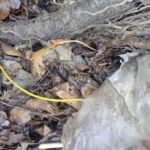 Sveçla Accuses Belgrade of Destabilizing Kosovo After Detonator Fuses Found Near Gnjezdane