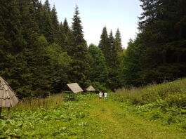 Šta se dešava na Rogozni: Investitori i dalje planiraju rudnik, Ministarstvo ne odgovara, a da li je otklonjeno zagađenje?