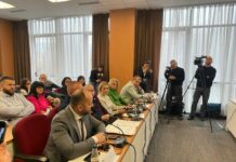Sukob predsednika Severne Mitrovice i zamenice predsednika zbog smena albanskih službenika