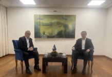 Nema dogovora Samoopredeljenja i PDK o predsedniku Kosova Kurti - Hamza