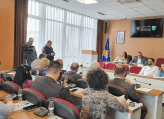 Odbornica Samoopredeljenja u SO Severna Mitrovica napustila salu tokom odavanja pošte stradalima u Martovskom nasilju
