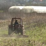 Poljoprivrednici: Suša u Srbiji smanjila rod, a otkupne cene žitarica kao pre desetak godina FOTO: Traktor, njiva/Radio Goraždevac