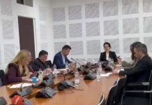 Skupštinski Odbor za spoljne poslove nije odobrio Sporazum o članstvu Kosova u Odboru za mir