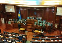 Samoopredeljenje insistira na nestranačkom kandidatu za predsednika