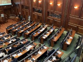 Ivica Cenić preuzeo mandat umesto Zlatana Eleka u Skupštini Kosova