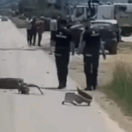 Najmanje tri osobe povređene u sudaru tri vozila na putu Vitina–Klokot