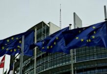 Evroposlanici osudili počasti na sahrani Ratka Mladića, pozvali na drugačiji stav EU