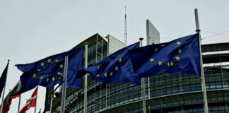 Evroposlanici osudili počasti na sahrani Ratka Mladića, pozvali na drugačiji stav EU