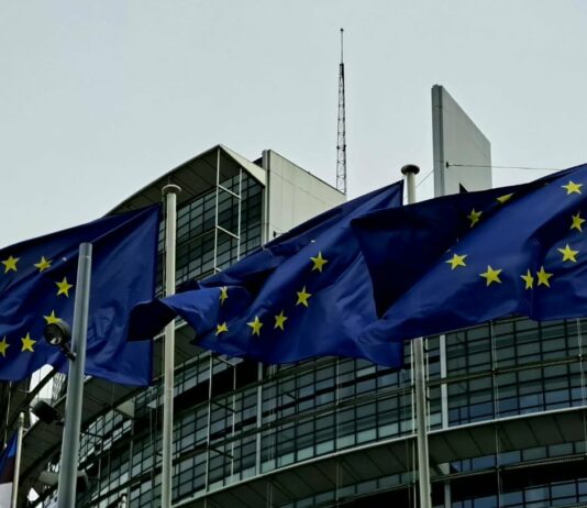 Evroposlanici osudili počasti na sahrani Ratka Mladića, pozvali na drugačiji stav EU