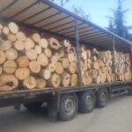 U Dragašu zaplenjeno 35 kubnih metara drva, prevožena iz Leposavića bez dokumentacije