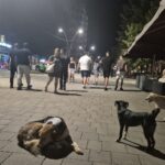 Severna Mitrovica usvojila izmene radnog vremena lokala: Za muziku na otvorenom saglasnost dve trećine stanova, kazne do 1.500 evra