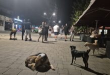 Severna Mitrovica usvojila izmene radnog vremena lokala: Za muziku na otvorenom saglasnost dve trećine stanova, kazne do 1.500 evra
