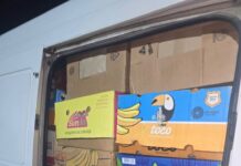 Kombi sa paprikama zaustavljen na putu Preševo–Gnjilane, roba zaplenjena
