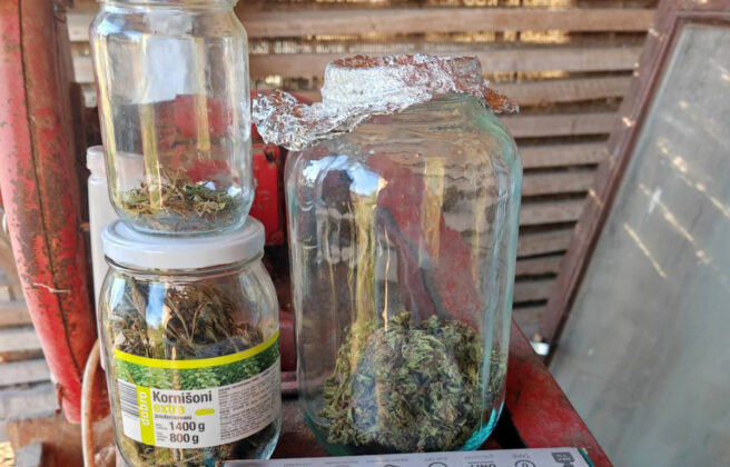 kanabis, marihuana, droga