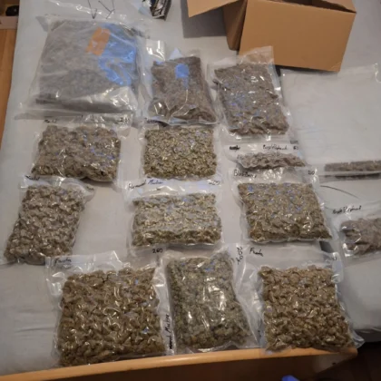FOTO: Evropol/ Policija, Mreža Zapadnog Balkana, Zaplenjena Roba, Droga
