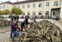Mašta i kreativnost na maskenbalu u Goraždevcu