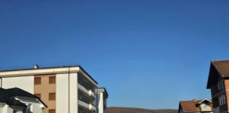 Pušten M. T. iz Suvog Grla