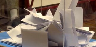 Studentska lista podnela žalbe Upravnom sudu zbog biračkih mesta u inostranstvu