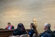 Apelacioni sud potvrdio Jeleni Đukanović kaznu od šest godina zatvora zbog optužbe da je špijunirala za BIA FOTO: Zakletva za pravdu/Jelena Đukanović