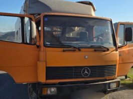 Kosovska policija sprečila šverc stoke iz Srbije: Pronađeno 14 grla u okolini Kamenice, vozač pobegao FOTO: Šverc stoke/KP