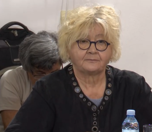 Trajković: Srbija je na Kosovu u kontejnerima, Vučićev plan je da i oni nestanu. Treba raditi na „kompromitaciji kosovske nezavisnosti“