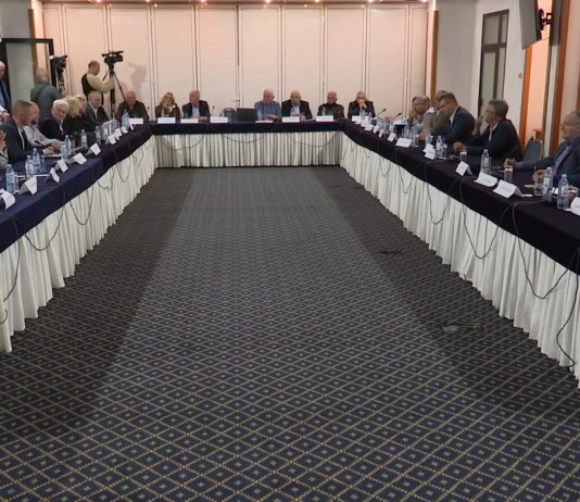 Sa tribine Srba sa Kosova u Beogradu podrška Studentskoj listi: Kritike Vučiću i Srpskoj listi, zahtevi za drugačiju politiku prema Kosovu FOTO: Tribina SNV